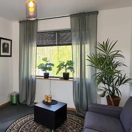 Have A Stay! - Tussen De Bossen En De Bollenvelden