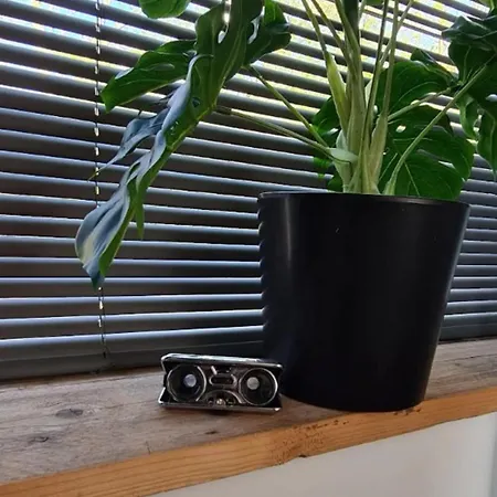 Appartement Have A Stay! - Tussen De Bossen En De Bollenvelden Noordwijkerhout