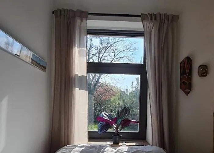 Have A Stay! - Tussen De Bossen En De Bollenvelden Appartement