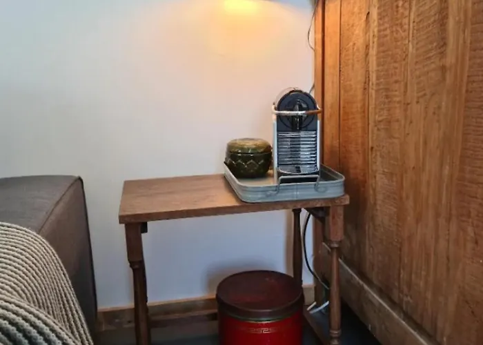 Have A Stay! - Tussen De Bossen En De Bollenvelden Noordwijkerhout