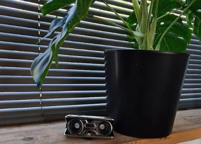 Apartamento Have A Stay! - Tussen De Bossen En De Bollenvelden Noordwijkerhout