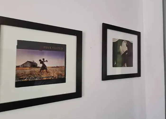 Have A Stay! - Tussen De Bossen En De Bollenvelden