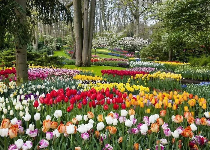 아파트 Have A Stay! - Tussen De Bossen En De Bollenvelden 노르트바이커하우트