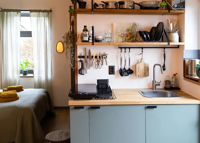 Have A Stay! - Tussen De Bossen En De Bollenvelden 노르트바이커하우트