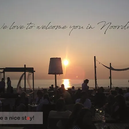 Have A Stay! - Tussen De Bossen En De Bollenvelden * ノールトウェイケルハウト　