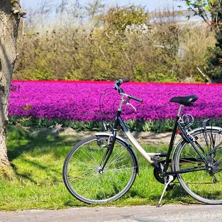Have A Stay! - Tussen De Bossen En De Bollenvelden Διαμέρισμα Noordwijkerhout