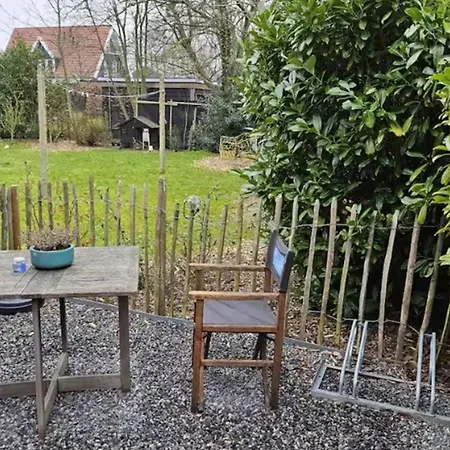 Have A Stay! - Tussen De Bossen En De Bollenvelden *