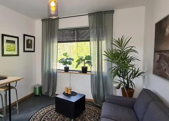 Have A Stay! - Tussen De Bossen En De Bollenvelden