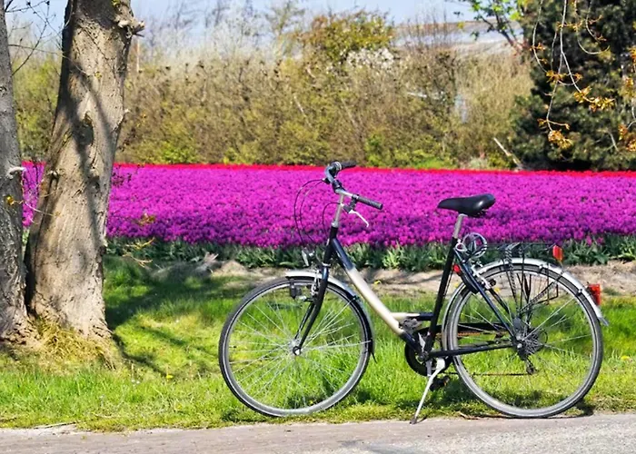 Have A Stay! - Tussen De Bossen En De Bollenvelden Διαμέρισμα Noordwijkerhout